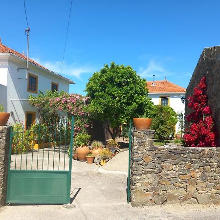 O Ninho Do Rei Lägenhet Vila de Rei Exteriör bild
