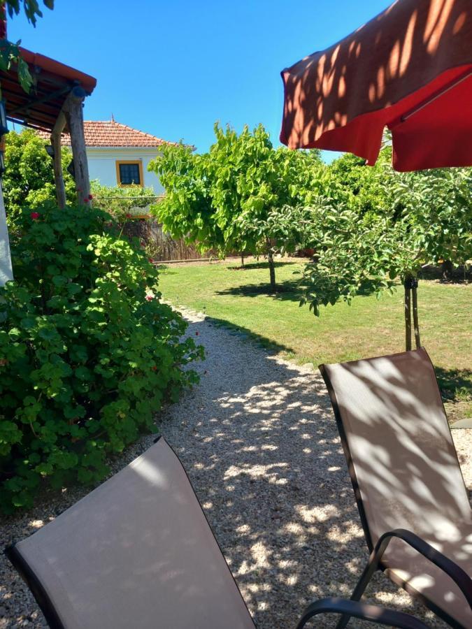 O Ninho Do Rei Lägenhet Vila de Rei Exteriör bild