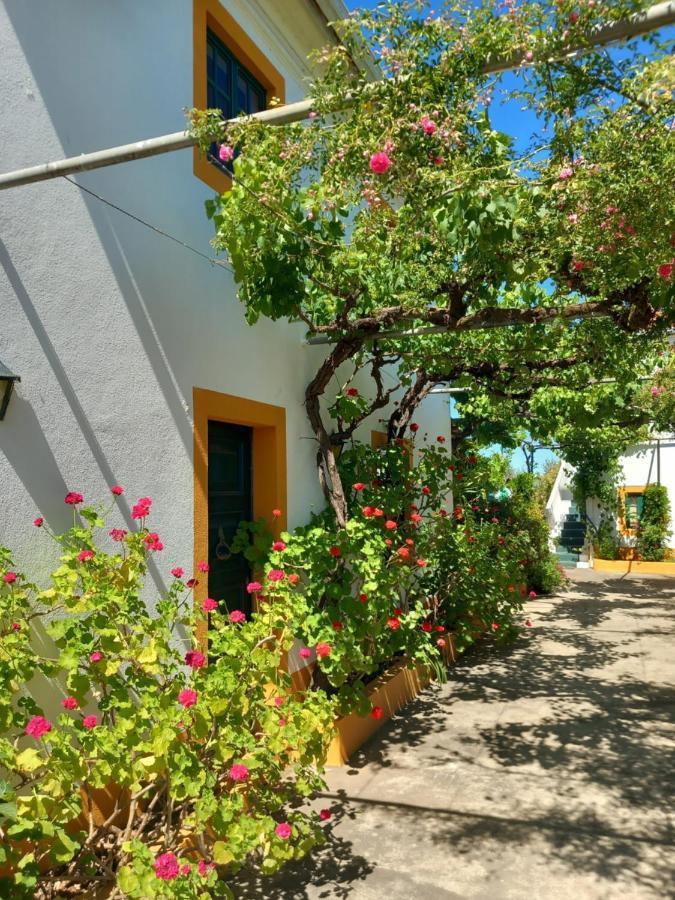 O Ninho Do Rei Lägenhet Vila de Rei Exteriör bild